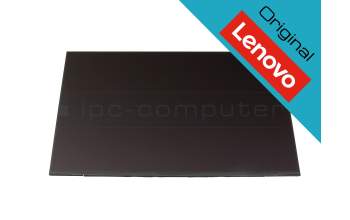 Lenovo ThinkPad T14 Gen 4 (21K3/21K4) original toque IPS pantalla WUXGA (1920x1200) mate 60Hz