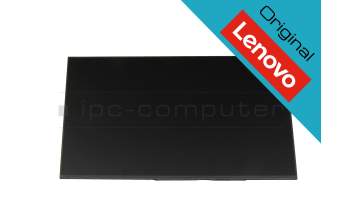 Lenovo ThinkPad T14s Gen 5 (21LS/21LT) original IPS pantalla WUXGA (1920x1200) mate 60Hz