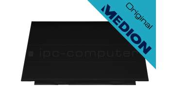 Medion Erazer X15801 (GK5CP6Z) original IPS pantalla FHD (1920x1080) mate 144Hz