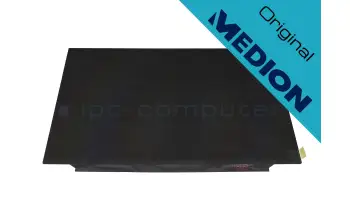 Schenker XMG Apex 17-M21nqj IPS pantalla FHD (1920x1080) mate 60Hz (30Pin)