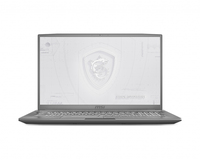MSI WF75 10TK (MS-17F3)