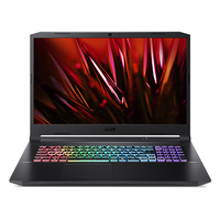 Acer Nitro 5 AN517-41