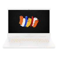 Acer ConceptD 3 (CN315-72G)