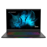 Medion Erazer Beast X20 (GM7TG7P)