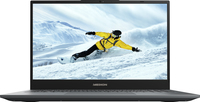 Medion Akoya E15423 (NP15TG)