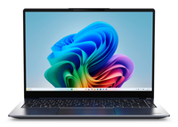 Medion SPRCHRGD 14 S2 (NM14LNL)