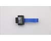 Lenovo CARDPOP Virtual RAID On CPU VROC Basic para Lenovo ThinkStation PX (30EU)