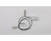 Lenovo ANTENNA Fru, 15L New Rear antenna para Lenovo ThinkCentre M70s (11DC)