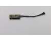 Lenovo ANTENNA NFC,Antenna,MURATA para Lenovo ThinkPad P14s Gen 2 (21A0/21A1)