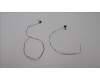 Lenovo ANTENNA ANTENNA,WLAN,ASM,AMP para Lenovo ThinkPad T14 (20S3/20S2)