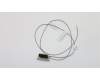 Lenovo CABLE Fru, 780mm M.2 front antenna para Lenovo S200 (10HQ/10HR)