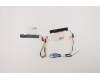 Lenovo ANTENNA FRU ANTENNA WLAN+WWAN AntennaASM para Lenovo ThinkPad L14 Gen 1 (20U1/20U2)