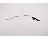 Lenovo ANTENNA FRU ANTENNA WLAN Antenna M+A AL para Lenovo ThinkPad E15 Gen 2 (20T8/20T9)