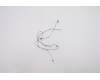Lenovo ANTENNA FRU ANTENNA WLAN Antenna ASM para Lenovo ThinkPad P15v Gen 1 (20TQ/20TR)