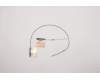 Lenovo ANTENNA ANTENNA ACCY KITS ANTENNA MIMO para Lenovo ThinkPad T15g Gen 2 (20YS/20YT)