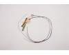 Lenovo ANTENNA ACCY KITS ANTENNA WLAN+WWAN para Lenovo ThinkPad T15g Gen 2 (20YS/20YT)