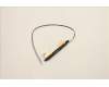 Lenovo ANTENNA FRU ANTENNA Mars3.0 AMD para Lenovo ThinkPad E15 Gen 4 (21E6/21E7)