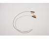 Lenovo ANTENNA ACCY KITS ANTENNA WLAN AL para Lenovo ThinkPad T14s Gen 2 (20WM/20WN)