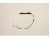 Lenovo ANTENNA FRU ANTENNA Mercury 3.0 AMD para Lenovo ThinkPad E14 Gen 4 (21E3/21E4)