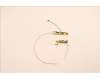 Lenovo ANTENNA ACCY KITS ANT WW AWAN JP610 para Lenovo ThinkPad P16 Gen 2 (21FA/21FB)