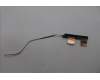 Lenovo ANTENNA FRU ANTENNA E16G2 MAIN + AUX para Lenovo ThinkPad E16 G2 (21M5)