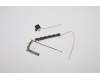 Lenovo ANTENNA WWAN ANT,CAT4/CAT12,LX1 para Lenovo ThinkPad Yoga X13 Gen 2 (20W8/20W9)