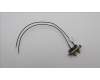 Lenovo ANTENNA Fru 2_in_1 SMA cable_LUX para Lenovo ThinkCentre M70q Gen 4 (12E3)