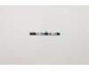 Lenovo CAMERA CS20 Y6 0.3M 2MIC CCY para Lenovo IdeaPad 3-15IML05 (81WR/81WB)