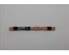 Lenovo 5C50S25718 CARDPOP CARDPOP L 21N9 MIC/B