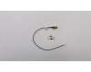 Lenovo ANTENNA 190mm SMA RF Cable_LX para Lenovo ThinkCentre M70q Gen 4 (12E3)