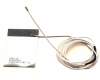 Acer ANTENNA.MAIN para Acer Nitro 5 (AN515-42)