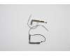 Lenovo ANTENNA Antenna WWAN,AMP para Lenovo ThinkPad X1 Yoga 6th Gen (20XY/20Y0)