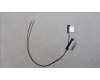 Lenovo ANTENNA ANTENNA W 21KK M+A para Lenovo ThinkBook 16 G6 IRL (21KH/21NR)