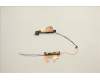 Lenovo ANTENNA FRU ANTENNA WWAN ANTENNA para Lenovo ThinkPad T16 Gen 2 (21K7/21K8)