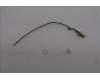 Lenovo ANTENNA Fru,148mm RF cable_LUX para Lenovo ThinkCentre M75q Gen 5