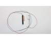 Lenovo ANTENNA WWAN KIT,HighTEK para Lenovo ThinkPad L570 (20J8/20J9)