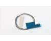 Lenovo ANTENNA Fru, Lx 8L Think Front ANT_450mm para Lenovo ThinkCenter M725s