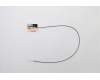 Lenovo ANTENNA Fru, Fan-less Nano WLAN AUX ANT para Lenovo ThinkCentre M75n (11G4)