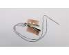 Lenovo ANTENNA FRU ANTENNA kit for Wlan/WWAN para Lenovo ThinkPad X270 (20HN/20HM)