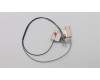 Lenovo ANTENNA FRU WLAN Antenna Kit para Lenovo ThinkPad E480 (20KQ/20KN)