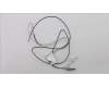 Lenovo FRU Antenna WLAN 15W MS(WNC) para Lenovo ThinkPad Edge E530c
