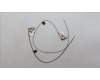Lenovo ANTENNA Antenna L 82Y5 MAIN+AUX para Lenovo Legion Slim 5-14APH8 (82Y5)