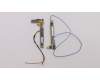Lenovo ANTENNA KIT ANTENNA,WWAN,Amphenol para Lenovo ThinkPad X1 Carbon 7th Gen (20R1/20R2)