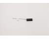 Lenovo ANTENNA Tiny6 Front antenna para Lenovo ThinkCentre M70q Gen 4 (12E3)