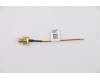Lenovo ANTENNA Fru, Fan-less Nano LTE SMA CABLE para Lenovo ThinkCentre M90n-1 (11AD/11AF/11AH/11AK)