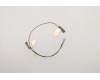 Lenovo ANTENNA WLAN Antenna MAIN+AUX<WNC> para Lenovo ThinkPad P1 Gen 3 (20TH/20TJ)