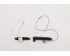 Lenovo ANTENNA FRU ANTENNA P17 ANTENNA MIMO para Lenovo ThinkPad P17 Gen 1 (20SN/20SQ)