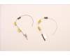 Lenovo ANTENNA FRU Ant ACCY KITS WLAN AL JT6C1 para Lenovo ThinkPad T16 Gen 2 (21K7/21K8)
