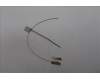 Lenovo ANTENNA FRU ANTENNA WL(Main+Aux)_Fenrir3 para Lenovo ThinkPad X1 Gen 12 (21KC/21KD)