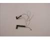 Lenovo ANTENNA Antenna WWAN&WLAN,Luxshare para Lenovo ThinkPad Z16 G1 (21D4/21D5)